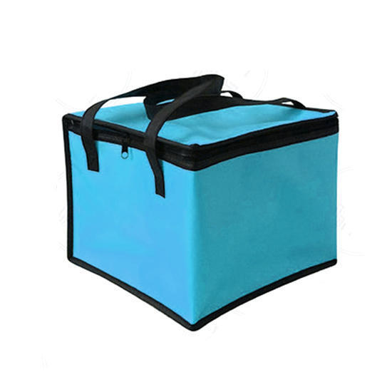Spot Non-woven Cake Cooler Bag Ice Bag Baking