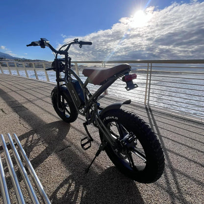 jansno x50 Adult Electric Bike 750W Motor EBicycle 48V 14AH 20 Inch Tire E-Bike Electric Mountain Bike Off-Road Motorcycle