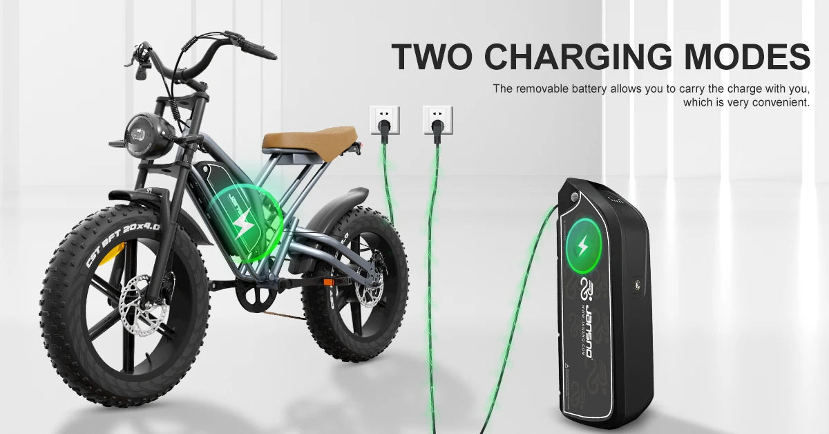 jansno x50 Adult Electric Bike 750W Motor EBicycle 48V 14AH 20 Inch Tire E-Bike Electric Mountain Bike Off-Road Motorcycle