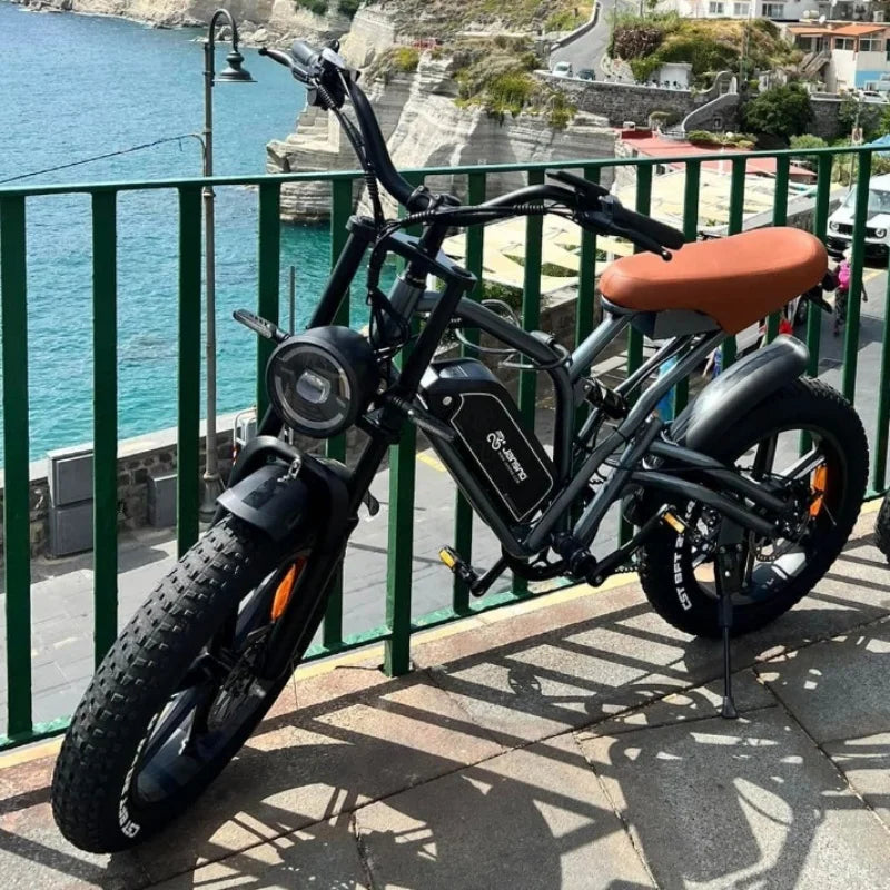 jansno x50 Adult Electric Bike 750W Motor EBicycle 48V 14AH 20 Inch Tire E-Bike Electric Mountain Bike Off-Road Motorcycle