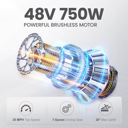 jansno x50 Adult Electric Bike 750W Motor EBicycle 48V 14AH 20 Inch Tire E-Bike Electric Mountain Bike Off-Road Motorcycle