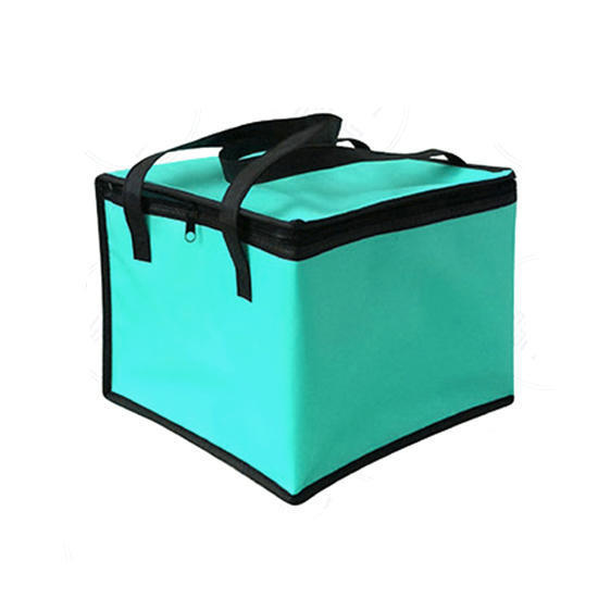 Spot Non-woven Cake Cooler Bag Ice Bag Baking